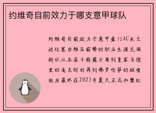 约维奇目前效力于哪支意甲球队